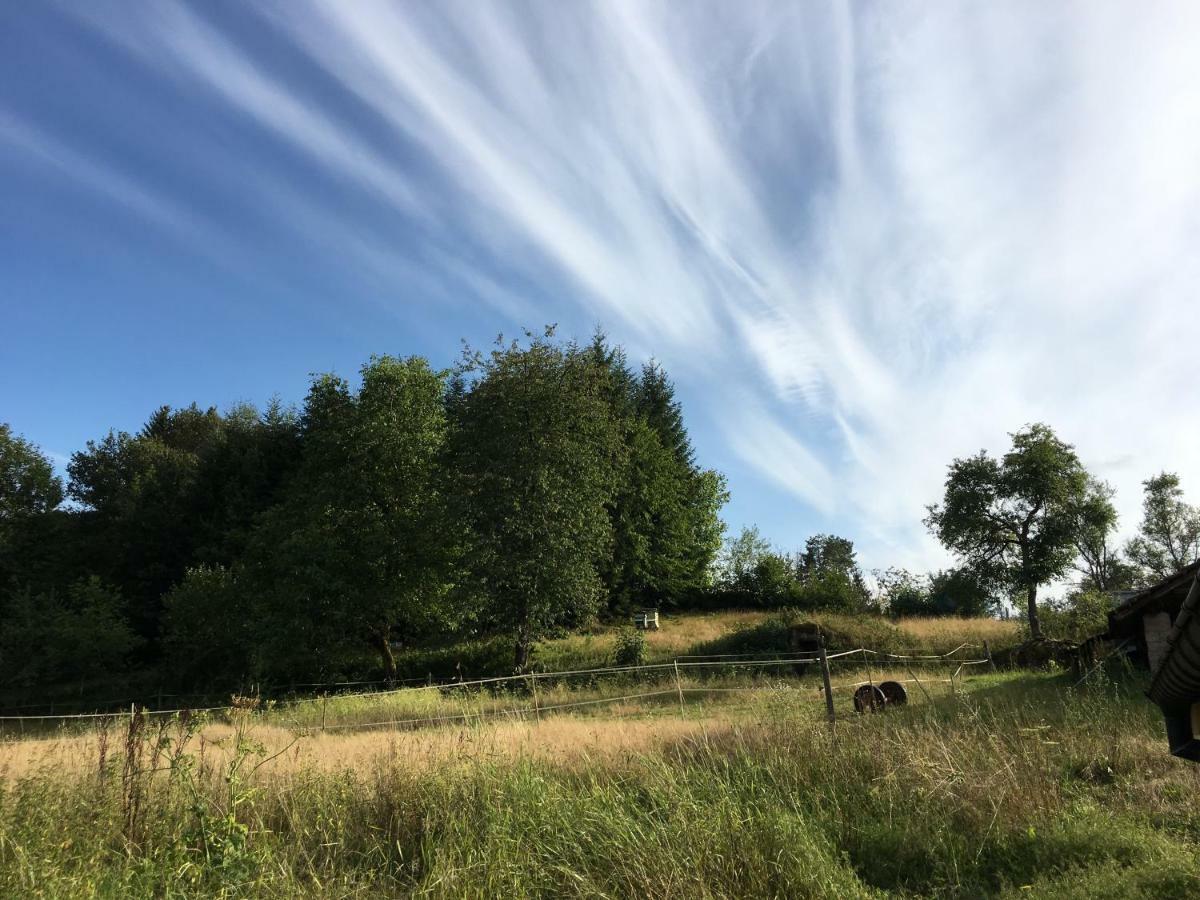 La Ferme Des Potets Villa Fresse Kültér fotó